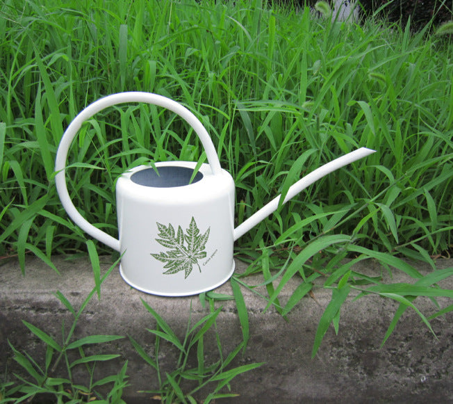 Gietijzeren Gieter – Grote Capaciteit voor Tuin & Moestuin