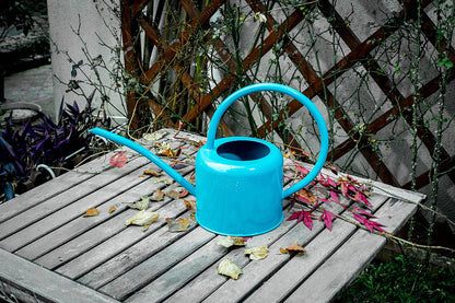 Gietijzeren Gieter – Grote Capaciteit voor Tuin & Moestuin