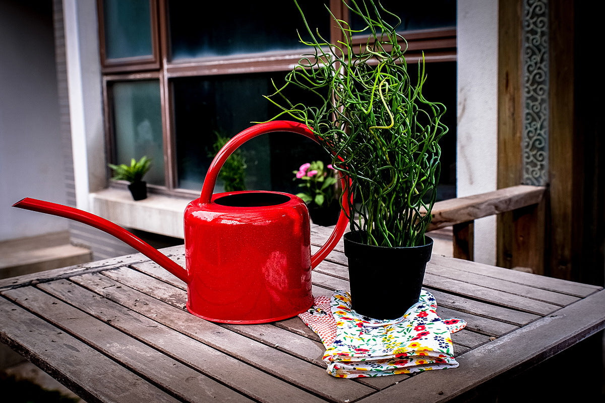 Gietijzeren Gieter – Grote Capaciteit voor Tuin & Moestuin