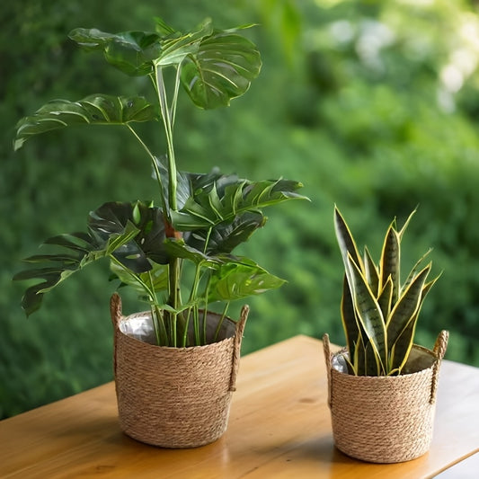 Set van Geweven Bloempotten